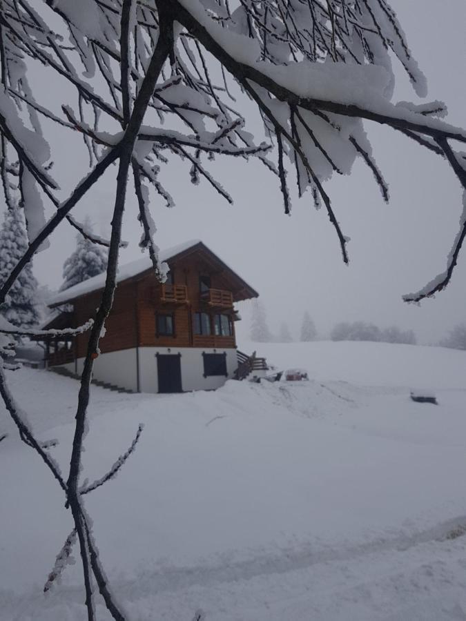 Tulean Cabin Săcel 외부 사진