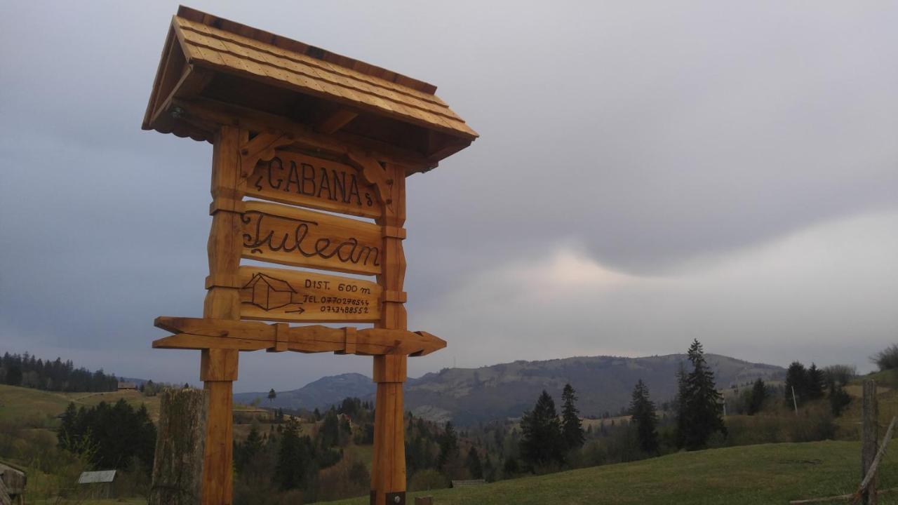 Tulean Cabin Săcel 외부 사진