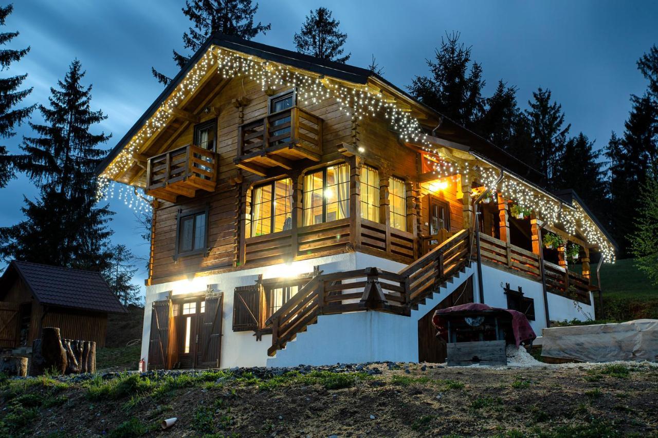 Tulean Cabin Săcel 외부 사진