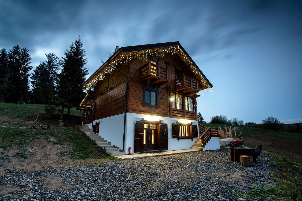 Săcel Tulean Cabin B&B 외부 사진