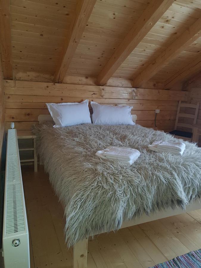 Săcel Tulean Cabin B&B 외부 사진