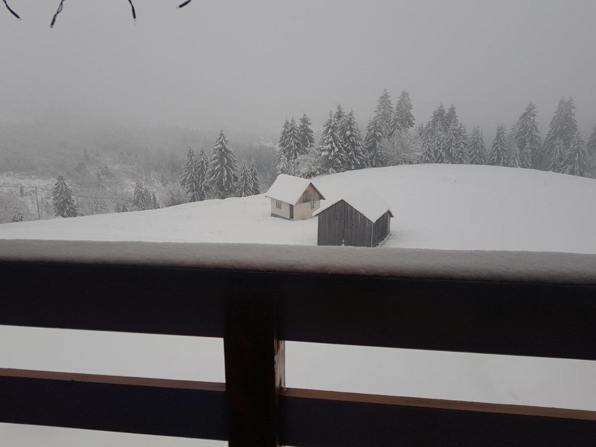 Tulean Cabin Săcel 외부 사진