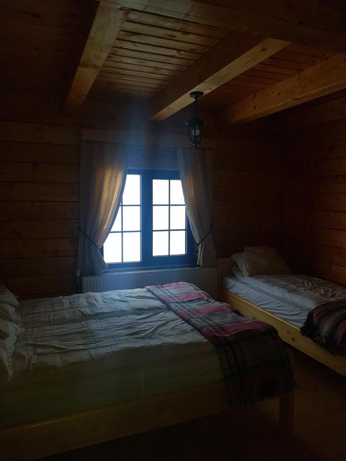 Săcel Tulean Cabin B&B 외부 사진