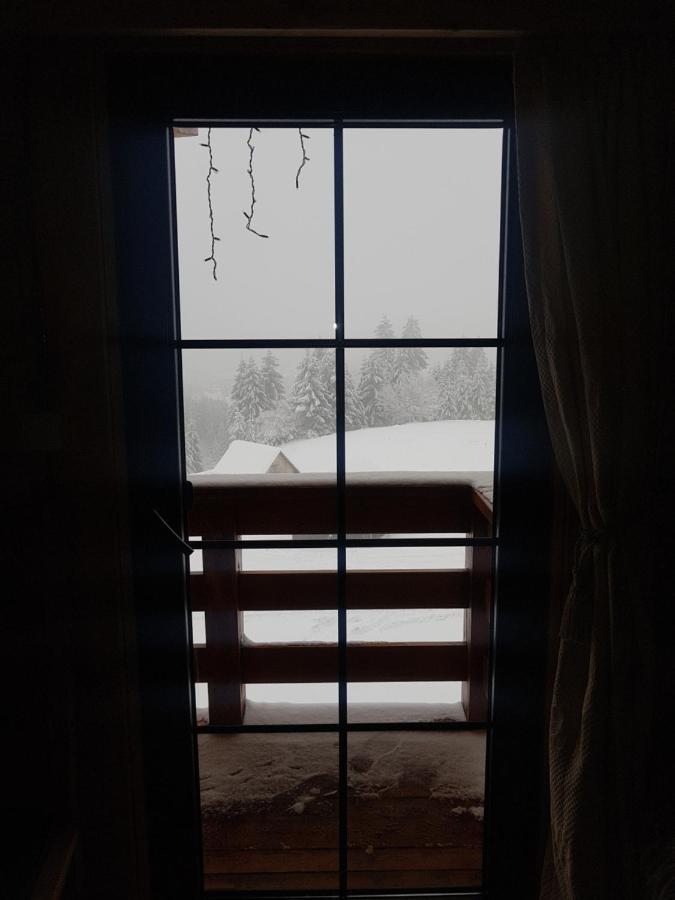 Tulean Cabin Săcel 외부 사진