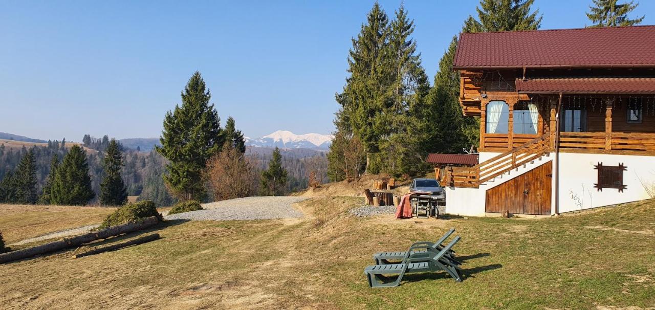 Săcel Tulean Cabin B&B 외부 사진