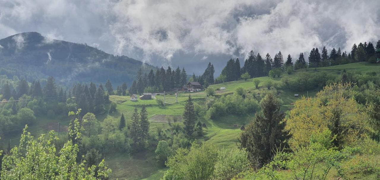 Tulean Cabin Săcel 외부 사진