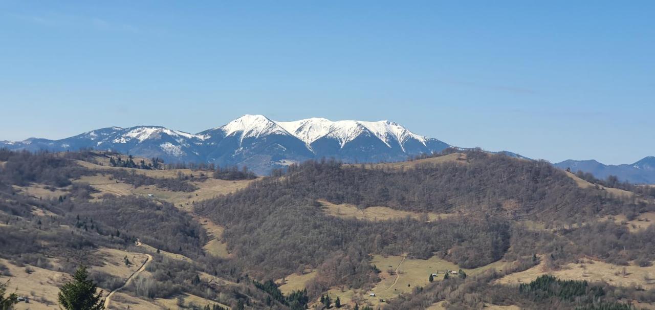 Săcel Tulean Cabin B&B 외부 사진