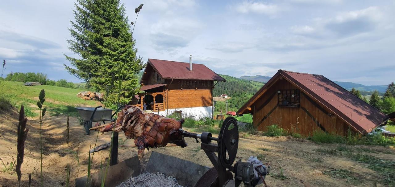 Săcel Tulean Cabin B&B 외부 사진