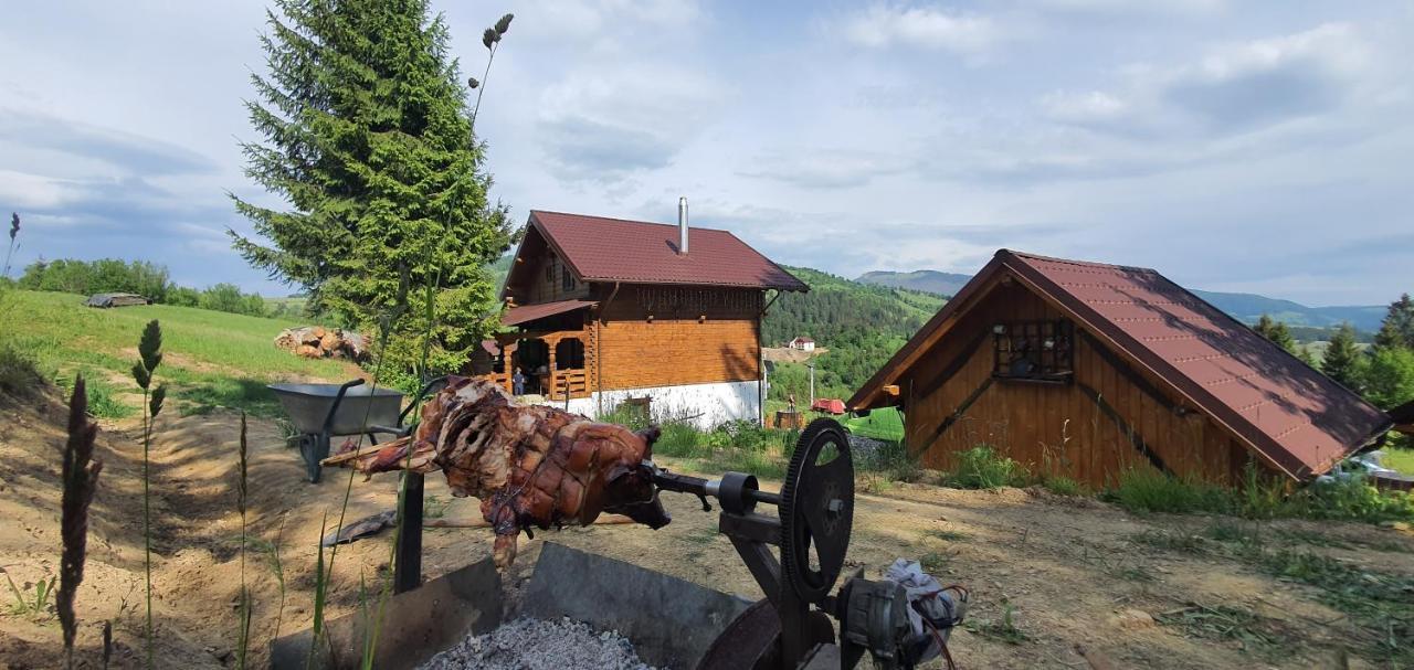 Tulean Cabin Săcel 외부 사진